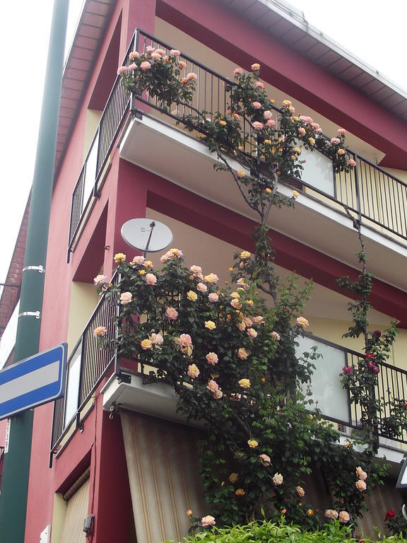 Hotel Renato 3*