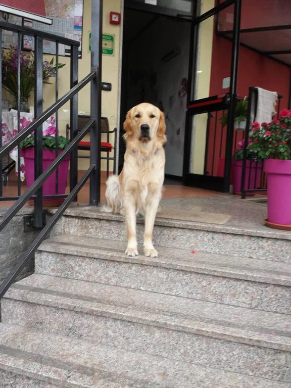 Hotel Renato 3* Sesto San Giovanni