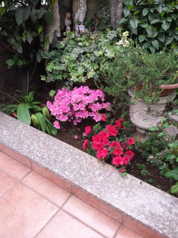 Hotel Renato 3*